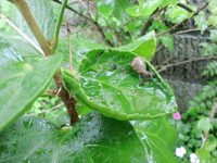 も～日が暮れた。。。 2011/05/21 23:56:19