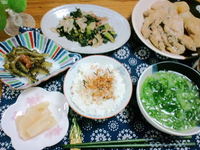 おととの晩ご飯♪ 2011/05/22 00:00:36