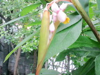 あれこれ・・・(o^∀^o) 2011/05/26 11:46:45