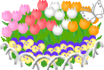 みんな ほんもの