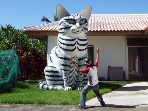 玉取崎展望台 でっかい猫