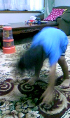 でんぐり返りの1才児