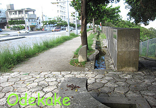 ◇喜友名泉 (きゅうながー/宜野湾市喜友名) ◇喜友名泉 (きゅうながー/宜野湾市喜友名)