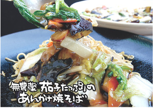 2013年8月小禄店茄子たっぷりのあんかけ焼きそば