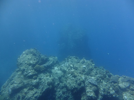沖縄の海。7／20（土）は、沖縄本島最北端【辺戸岬】で潜りました。