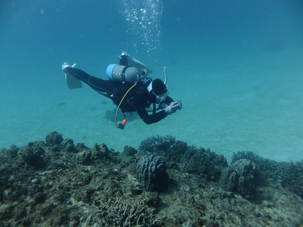 【瀬底島】冬の沖縄ダイビングでチンアナゴ発見♪