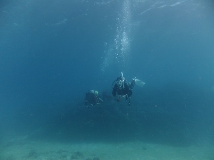 【瀬底島】冬の沖縄ダイビングでチンアナゴ発見♪