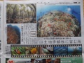 沖縄の海。辺野古・大浦湾のサンゴの森をご覧下さい♪ たくさん写真を載せています★