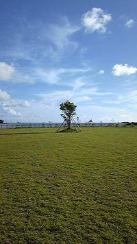 豊崎の海
