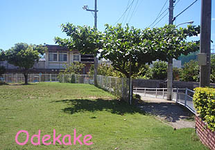 ◆松本第一公園 （まつもとだいいち／沖縄市松本）