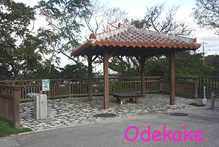 ◆浦添大公園 Aゾーンその3 (うらそえだい/浦添市仲間)