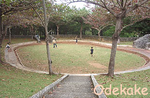◆浦添大公園 Cゾーン (うらそえだい/浦添市当山)