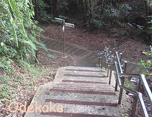 ◆浦添大公園 Cゾーン (うらそえだい/浦添市当山)
