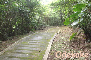 ◆浦添大公園 Cゾーン (うらそえだい/浦添市当山)