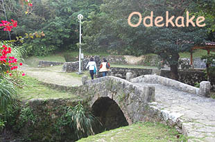 ◆浦添大公園 Cゾーン (うらそえだい/浦添市当山)