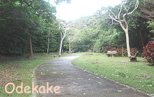 ◆浦添大公園 Cゾーン (うらそえだい/浦添市当山)