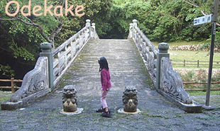 ◆浦添大公園 Cゾーン (うらそえだい/浦添市当山)