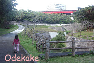 ◆浦添大公園 Cゾーン (うらそえだい/浦添市当山)