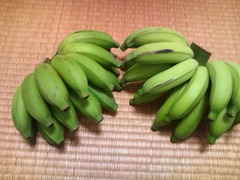 ブラジルバナナ