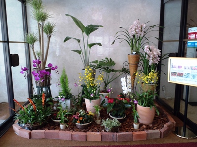 花のカーニバル2010！