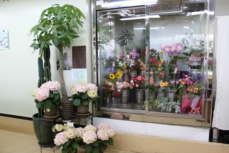 SHOPの模様替え！