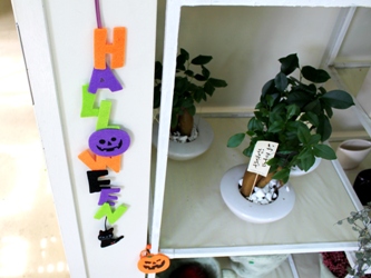 Trick or treaｔ☆彡