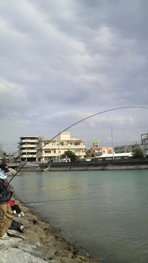 続き・・・