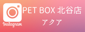 PET BOX北谷店の Instagramはこちら 