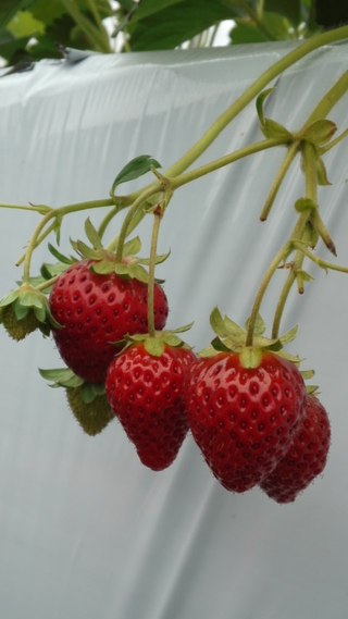 正解は・・