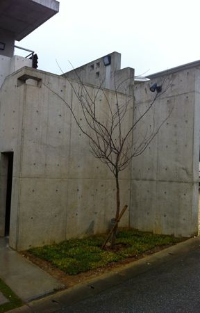 T様邸に・・・