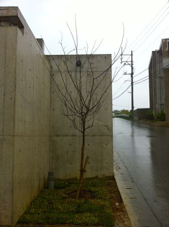 T様邸に・・・