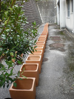 楽しむ