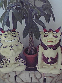 「信念」 2008/06/17 09:09:03