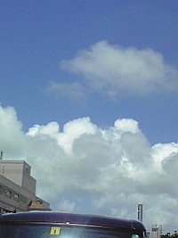 ママヨガ 2008/06/17 13:22:14