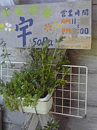 ランチ 2008/07/07 18:42:59