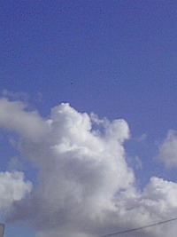 正直者 2008/08/03 08:24:39