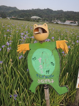 オクラレルカ