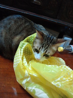 退屈です。