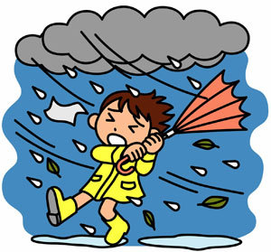 台風対策 台風対策
