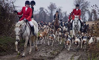 人間狩りやってたイギリス人に動物保護の精神はない！