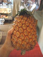 夏日です