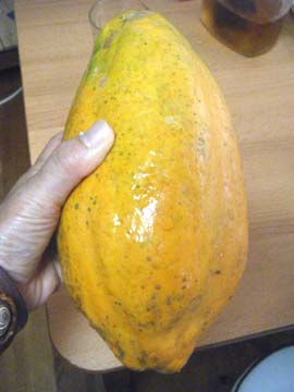 夏色