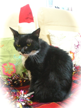 ¡¡feliz Navidad!!