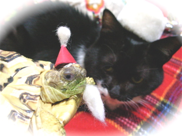 ¡¡feliz Navidad!!