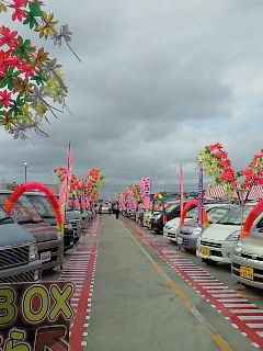 車ウジャウジャ☆