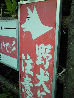 待ってました☆