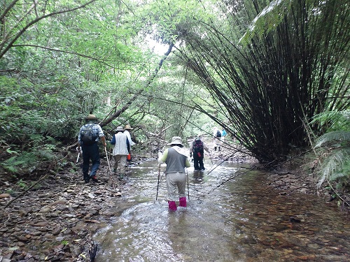 比地川上流