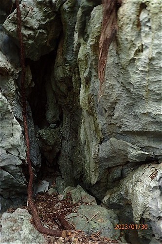 地底ののぞき穴―洞穴調査②