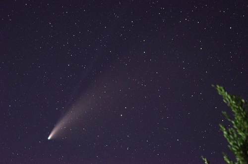 夜空を翔けるネオワイズ彗星