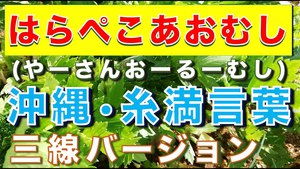 1000回 御視聴感謝 1000回 御視聴感謝